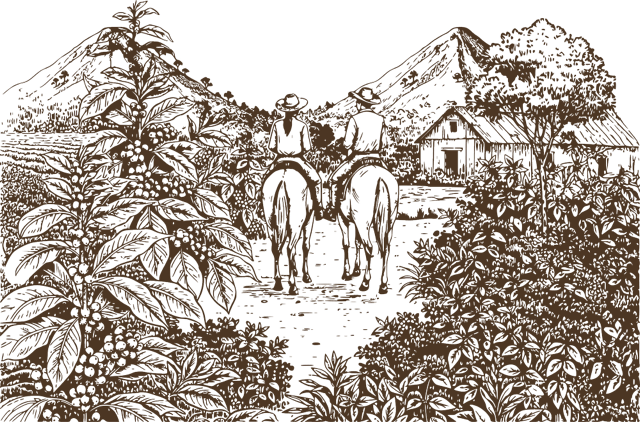 Line illustration of riders in a coffee valley with mountains and a cabin